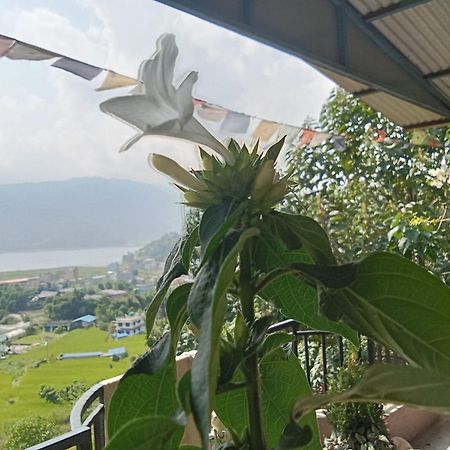 Gautam Garden Guest House Pokhara Extérieur photo
