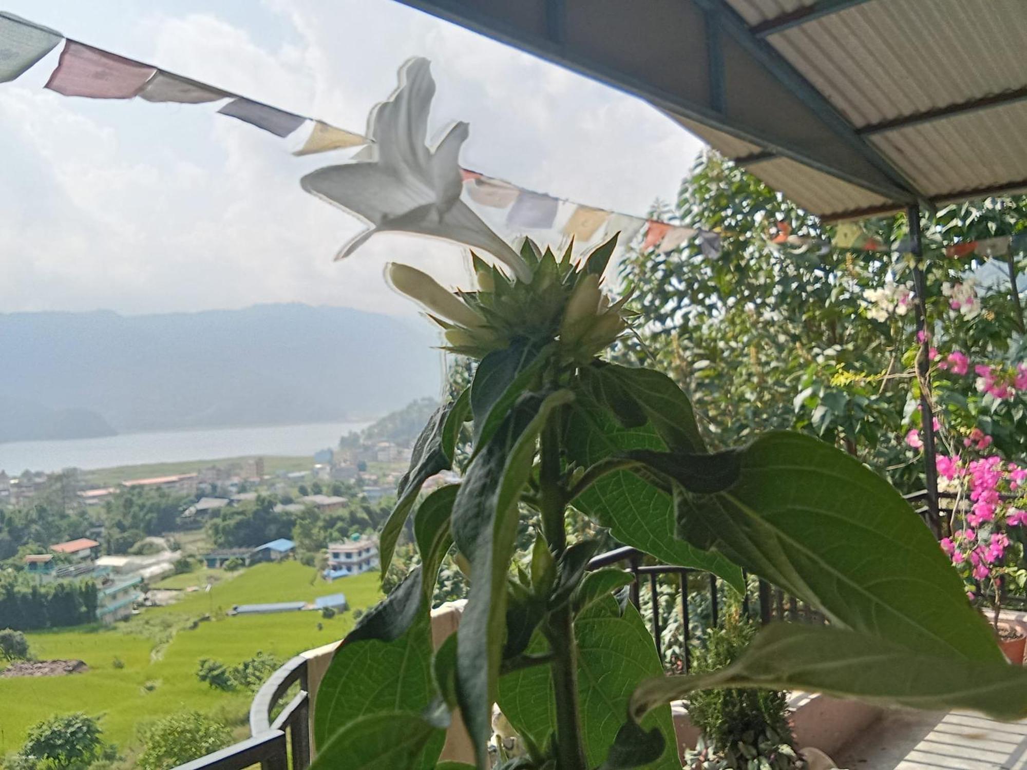 Gautam Garden Guest House Pokhara Extérieur photo